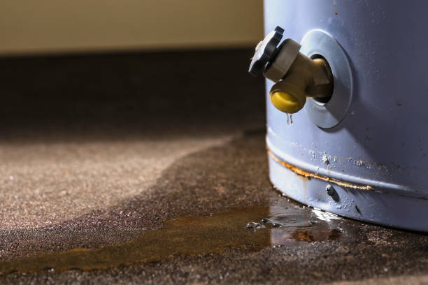 Best Water damage restoration near me  in Mount Hope, WV
