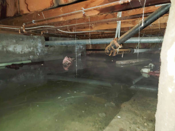 Mount Hope, WV Water damage restoration Company