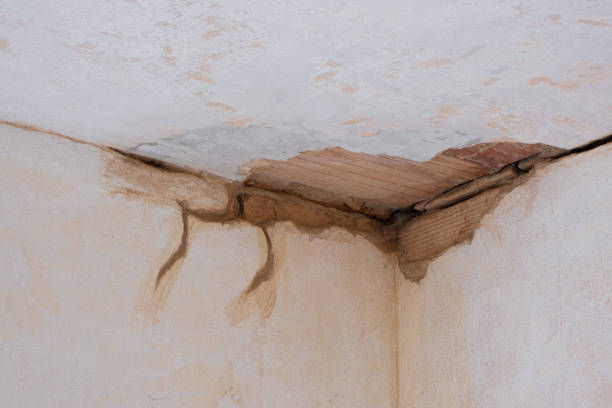 Best Residential water damage restoration  in Mount Hope, WV