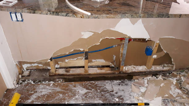 Best Basement water damage restoration  in Mount Hope, WV