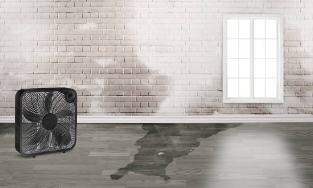 Best Commercial water damage restoration  in Mount Hope, WV