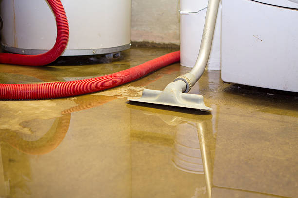Best 24-hour water damage restoration  in Mount Hope, WV
