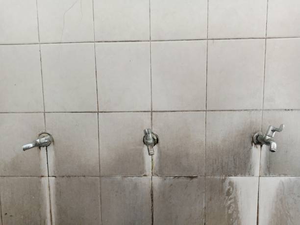 Best Water damage contractors near me  in Mount Hope, WV