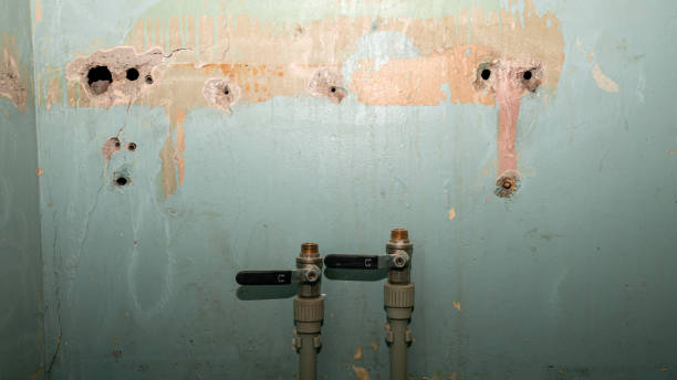 Best Fire Damage Restoration  in Mount Hope, WV