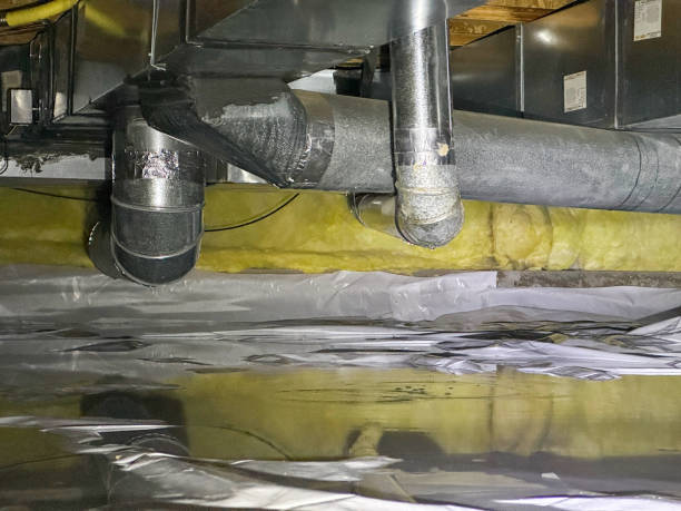 Best Fire Damage Restoration  in Mount Hope, WV