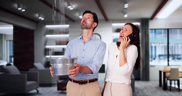 Best Water damage contractors near me  in Mount Hope, WV